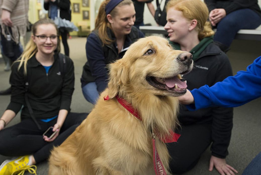 Dog Therapy Mindfulness For Growing Minds Dog Therapy Mindfulness For Growing Minds